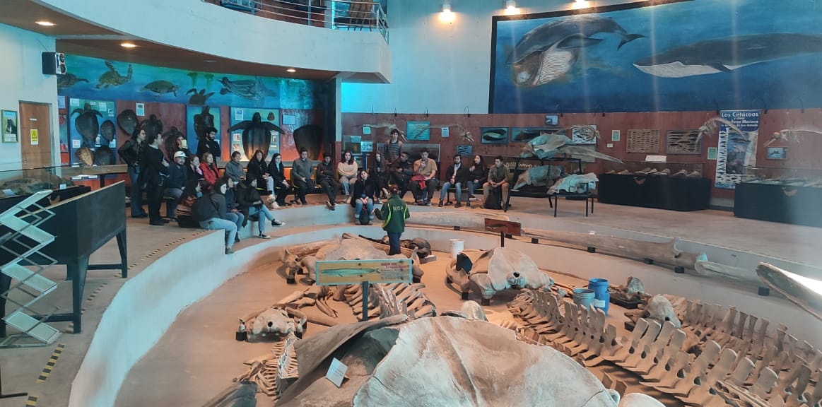 Salida pedagógica Ballenera de Quintay